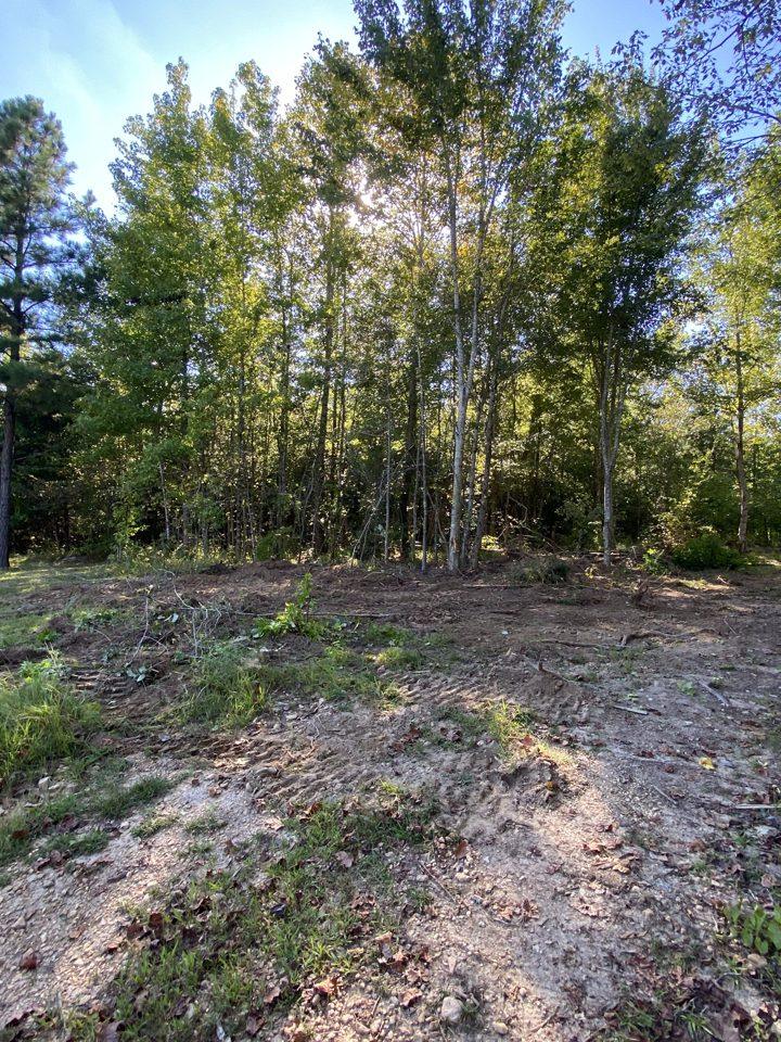Cleared slope with roots, limbs and bare dirt where brush was pushed, standing trees beyond