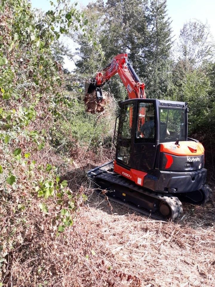 Kubota KX057-5 excavator with a thumb working in thick brush