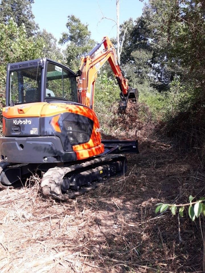 Orange Kubota KX057-5 excavator with a grapple holding a root ball in the woods