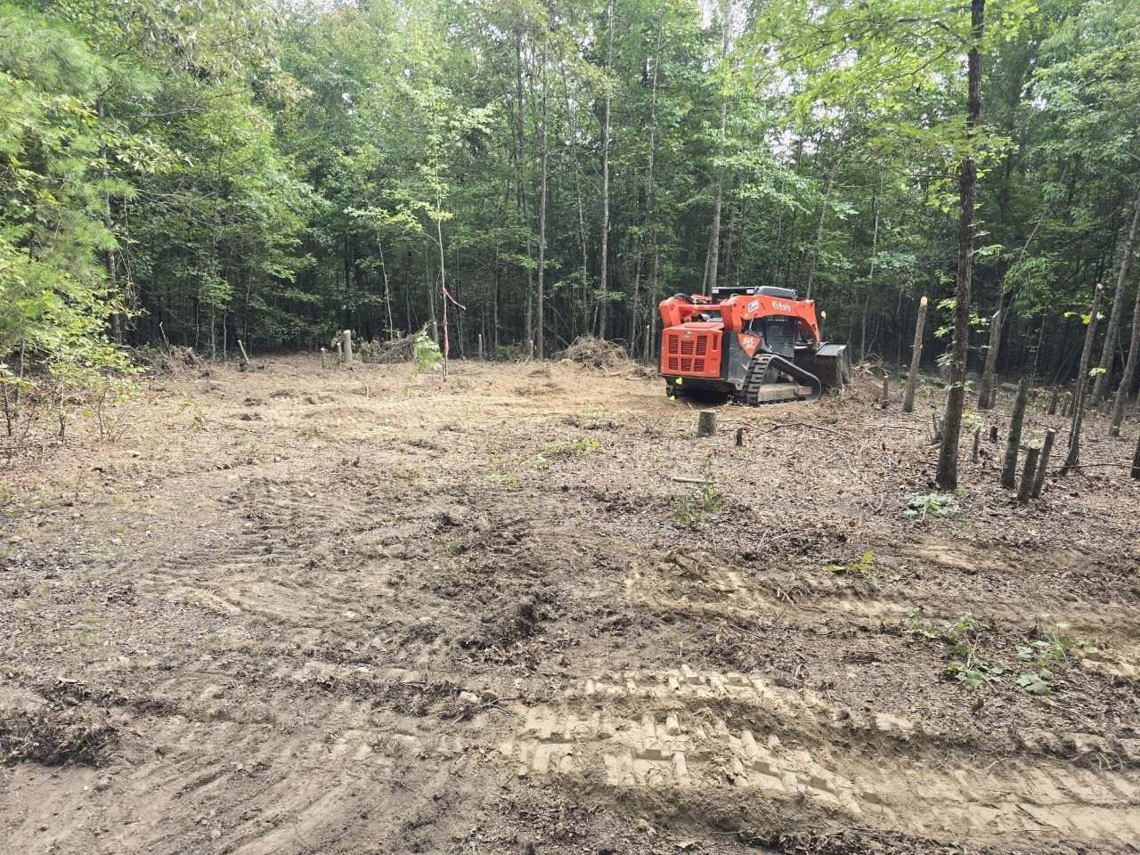 Cleared ground at the edge of the woods with a track loader in the distance