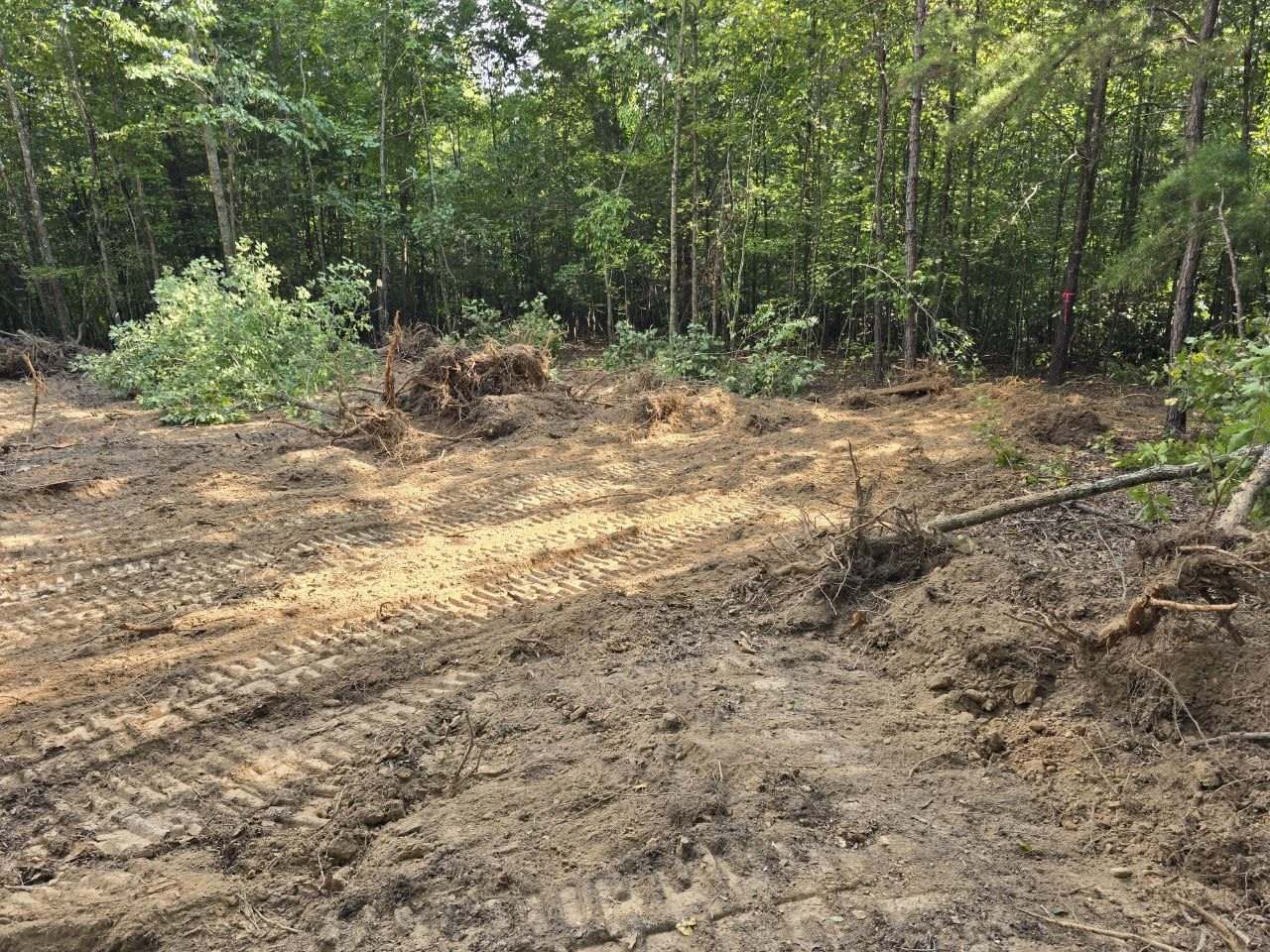 Churned-up cleared ground with track marks and pulled stumps piled at the tree line