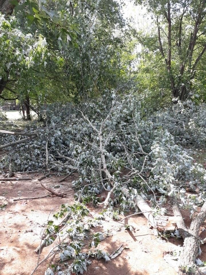 Large pile of limbs and brush on the ground during storm cleanup