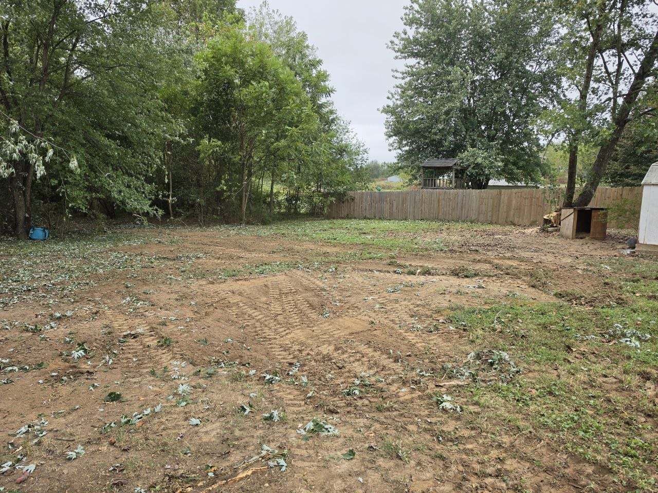 Yard cleared of the fallen tree and debris after storm cleanup