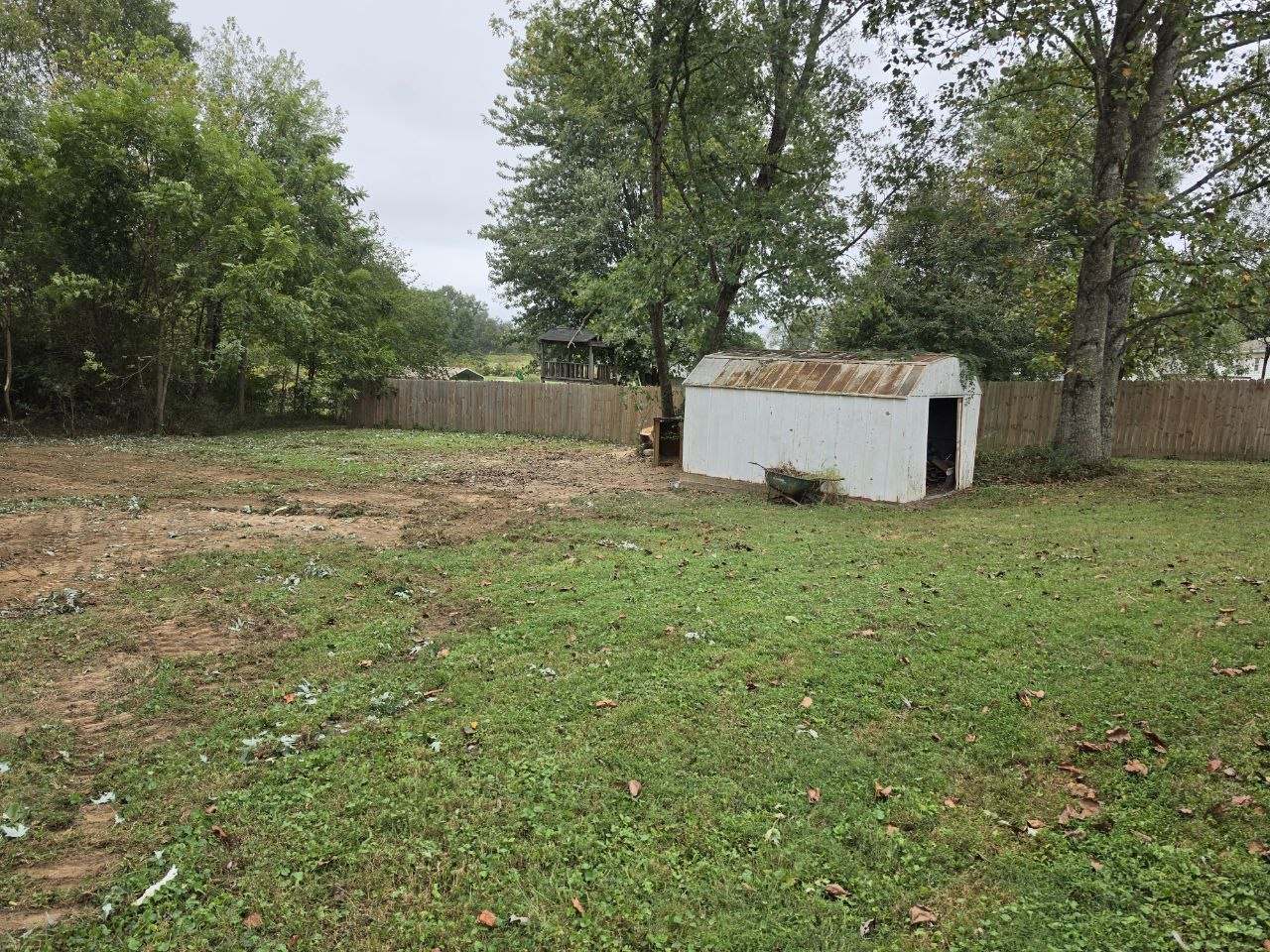 Cleared yard with a white shed and fence visible after storm cleanup