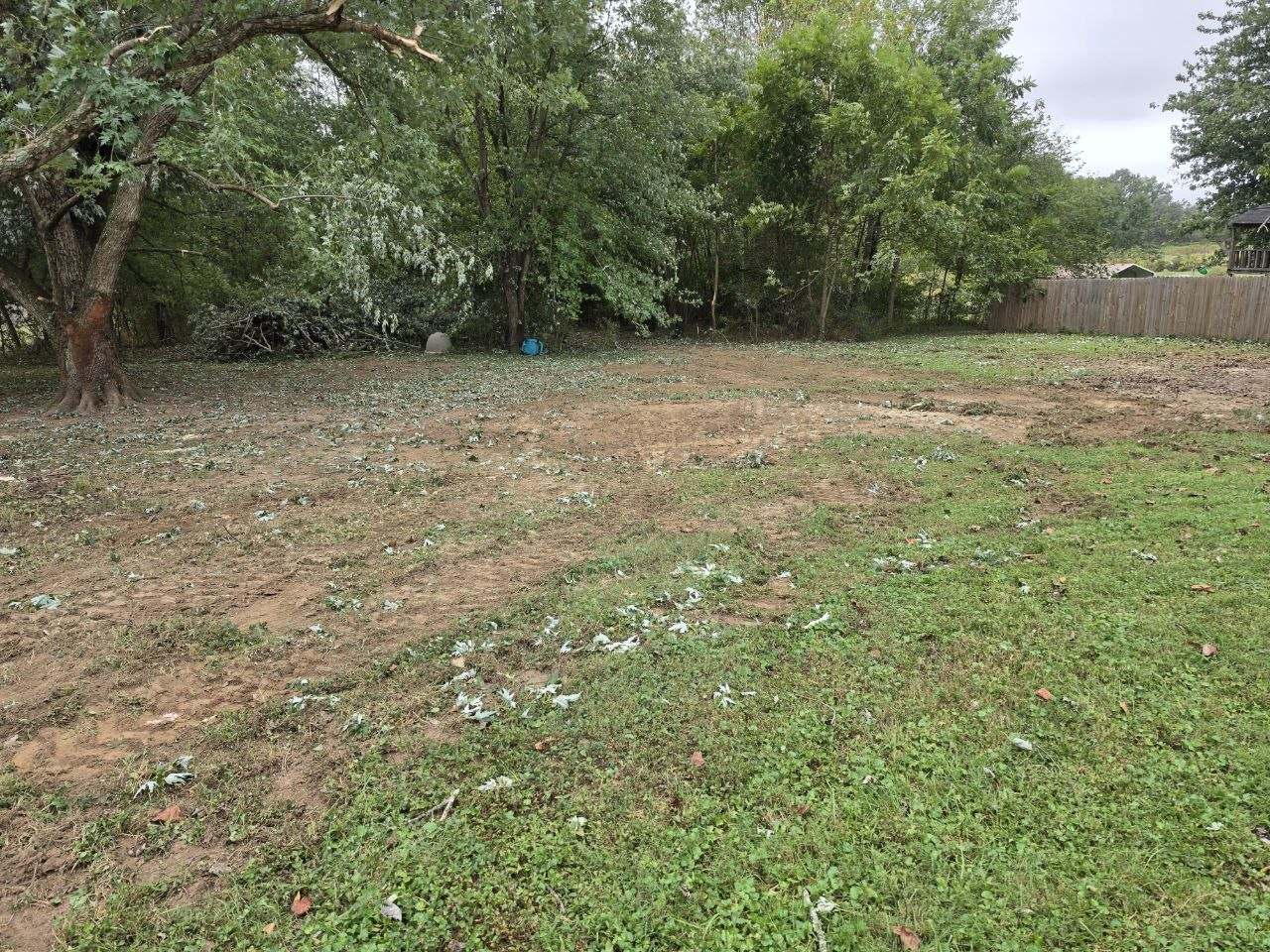 Cleared ground with machine track marks after storm cleanup