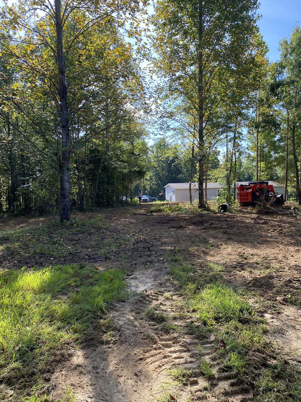 Freshly cut dirt lane through the trees with machine track marks heading toward a house