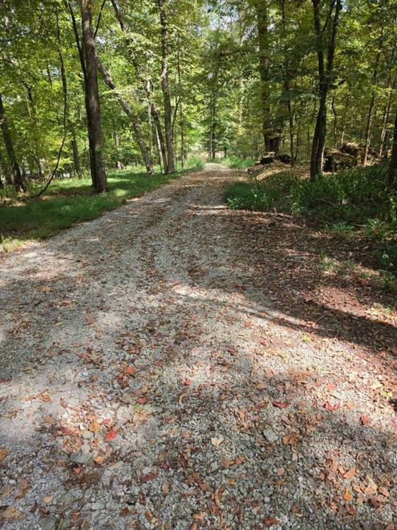 Rough overgrown muddy lane before grading