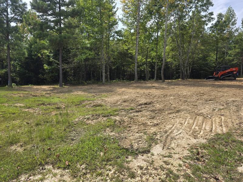 Cleared opening in the tree line from above